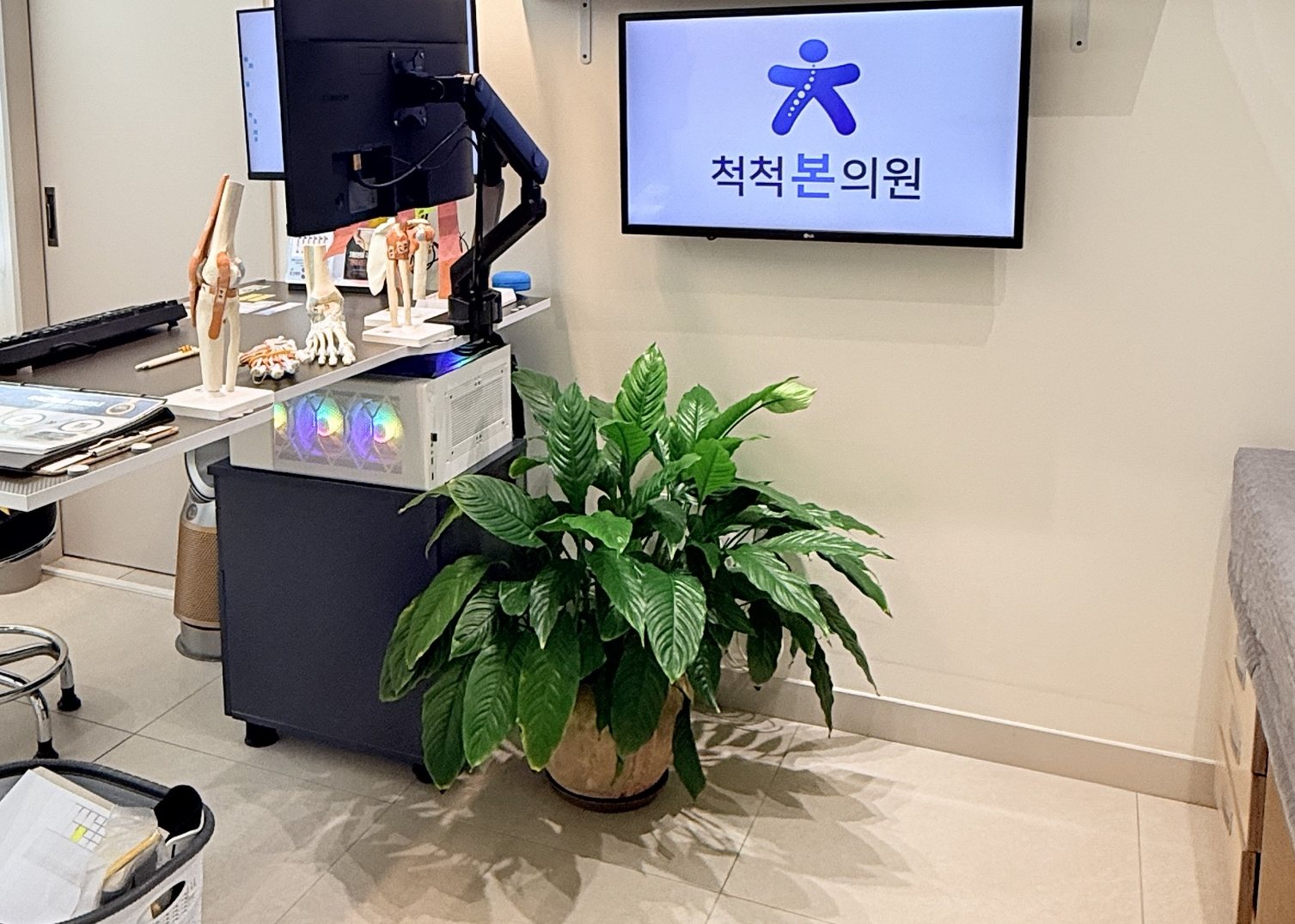 진료실 — 책상과 관절 모형